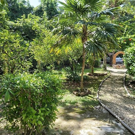 Villa Mini Pini Bird Watching Loft Cozumel Exterior foto