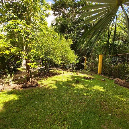 Villa Mini Pini Bird Watching Loft Cozumel Exterior foto