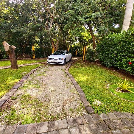 Villa Mini Pini Bird Watching Loft Cozumel Exterior foto