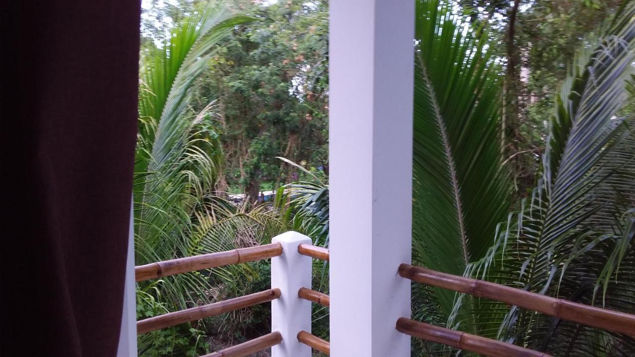 Villa Mini Pini Bird Watching Loft Cozumel Exterior foto