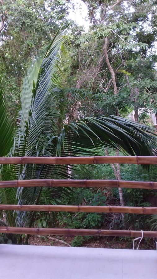 Villa Mini Pini Bird Watching Loft Cozumel Exterior foto