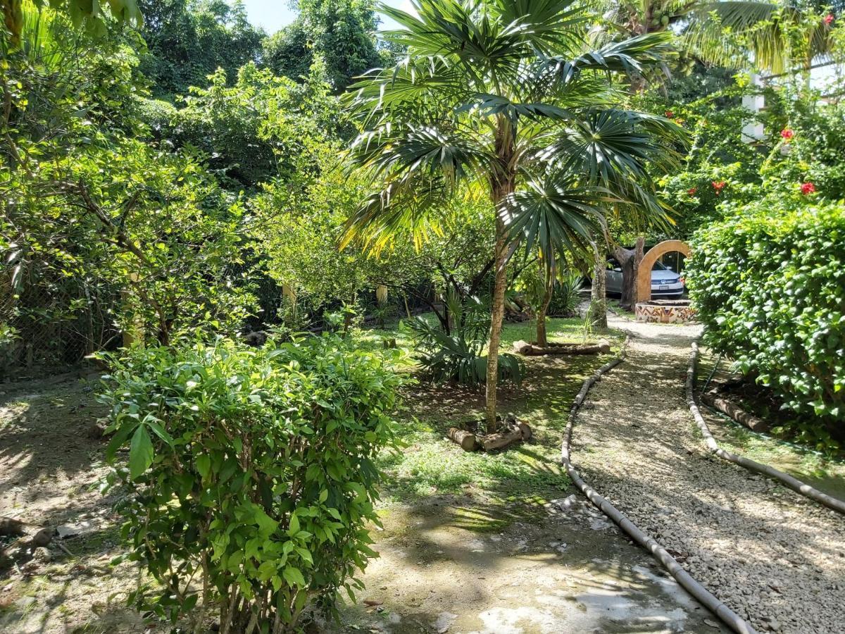 Villa Mini Pini Bird Watching Loft Cozumel Exterior foto