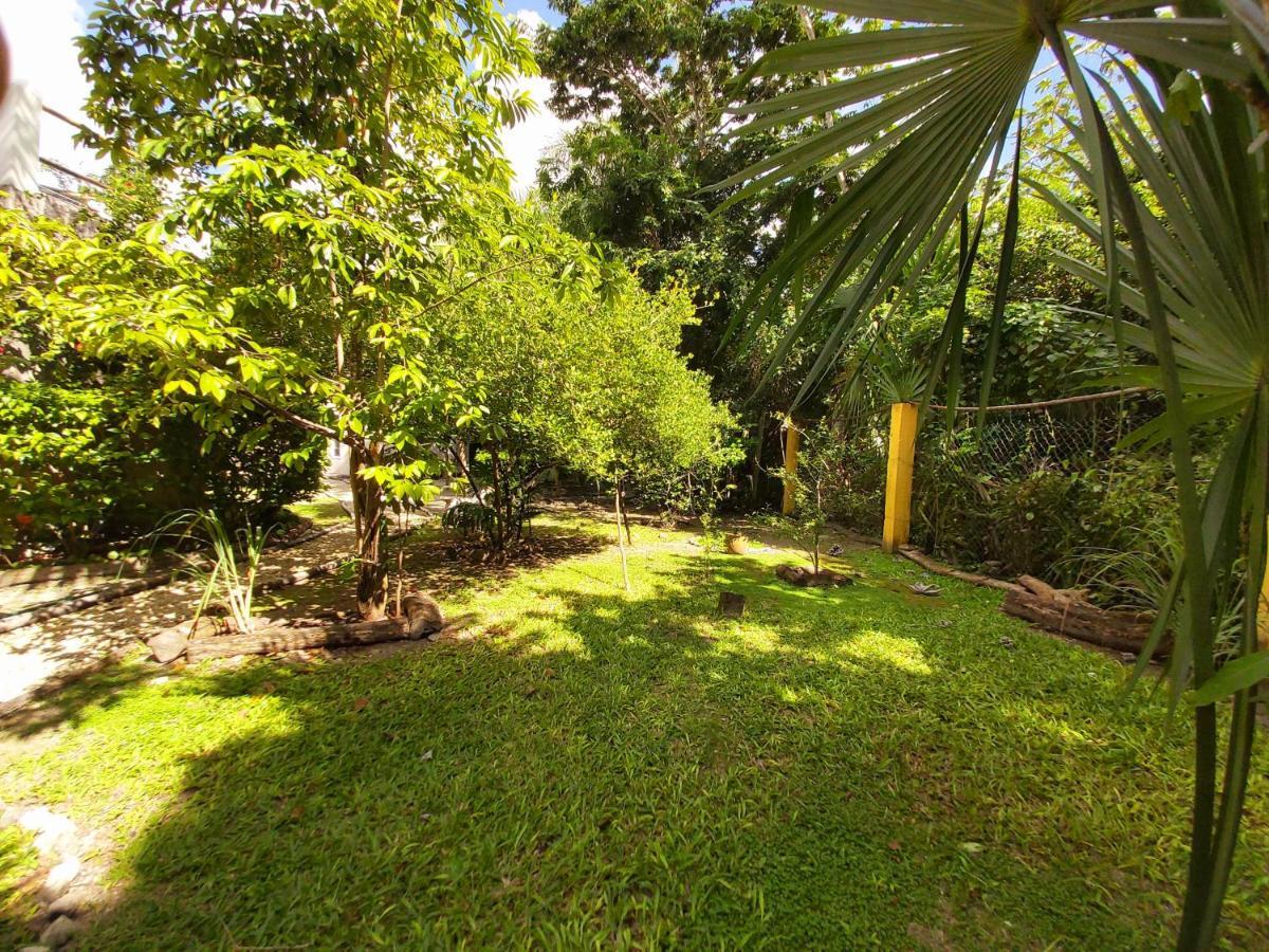 Villa Mini Pini Bird Watching Loft Cozumel Exterior foto