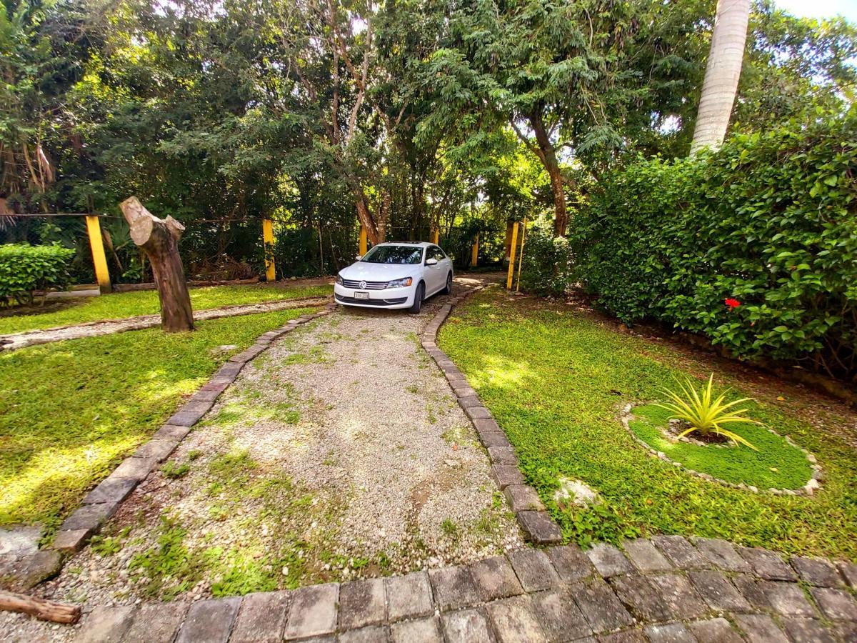 Villa Mini Pini Bird Watching Loft Cozumel Exterior foto